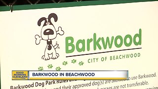 New dog park opens in Beachwood