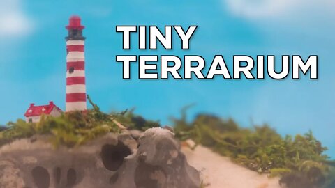 How to Make a Tiny Terrarium