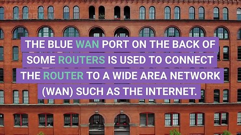 What is the purpose of the blue WAN port on the back of touters | COFFEE BREAK VIDEO CHANNEL