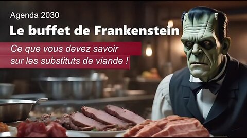 « Le buffet de Frankenstein à l'Agenda 2030 »