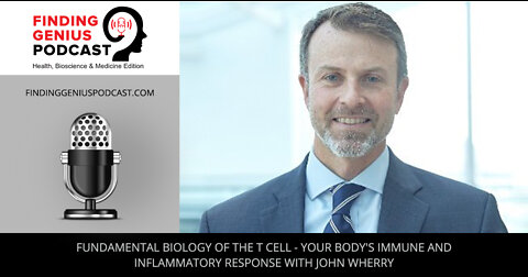 Fundamental Biology of the T Cell - Your Body's Immune and Inflammatory Response with John Wherry