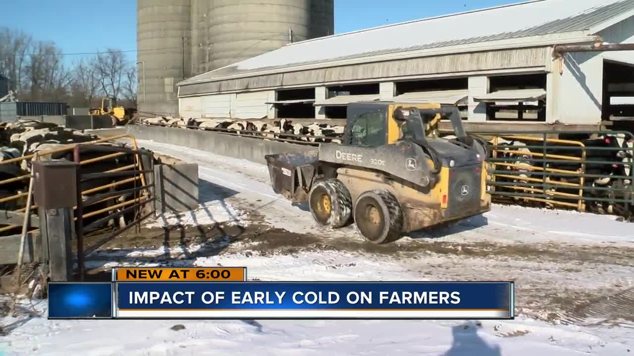 'This is like January weather what we got here:' Farmers battle cold snap during harvest