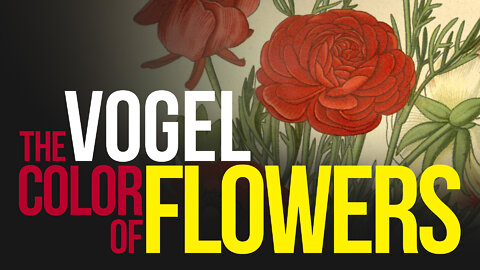 [TPR-0048] The Color Of Flowers by August Vogel