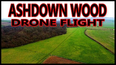 Drone Flight Through the Woods - Ashdown Woods