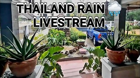 MUCH NEEDED RAIN #thailandlive