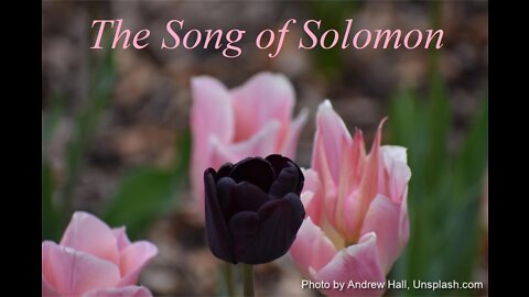 The Song of Solomon | KJV