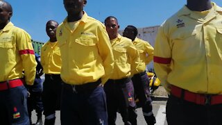 SOUTH AFRICA - Cape Town - Law Enforcement Training Day (Video) (nS9)