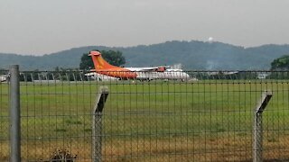 stray cats feed near airport planes