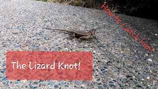 The Lizard Knot! 2021