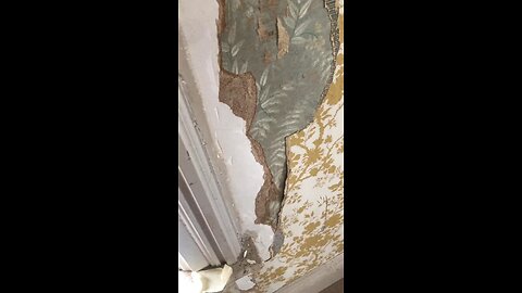 Peeling wallpaper