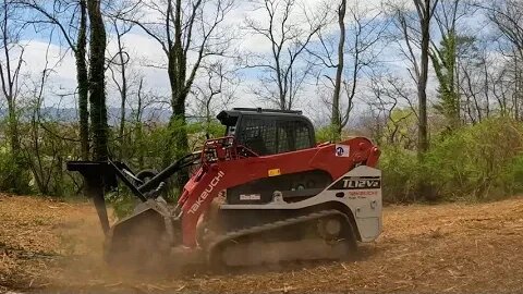 Roanoke City Back Yard and Puppy - Forestry Mulching in Virginia