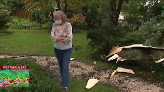 Tree falls on Broadview Heights home