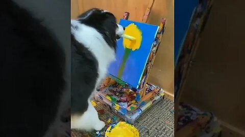 Viralled cat video of doing painting 😱😱😱 | viralledvideo | cats2023 | cuteandfunnypets78