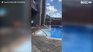Ce chien saute dans la piscine pour sauver sa maîtresse