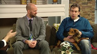 Pet Talk Tuesday - Hip Dysplasia