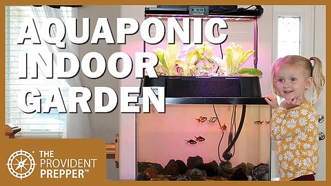 Indoor Garden: ECOLIFE's ECO-Cycle Aquaponics Indoor Fish Tank