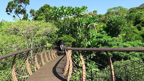 SOUTH AFRICA - Cape Town - Kirstenbosch National Botanical Garden (Video) (Amg)