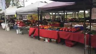 Lakes Park Farmers Market starting to wrap up for the season in Fort Myers