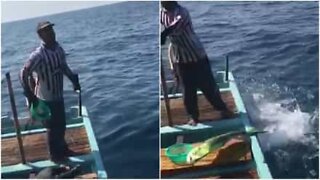 Fishermen feed wild dolphins in Lebanon