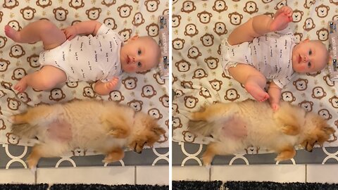 Baby Shares His Blanket With Puppy Best Friend