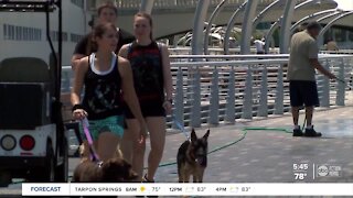 City of Tampa to discuss $24 million BUILD Grant to extend Riverwalk, improve Big Bend Road Corridor