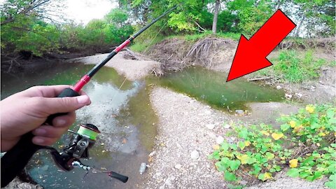 Fishing TINY HIDDEN Creeks in Texas