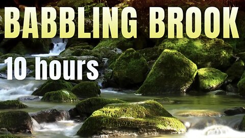 Escape to Tranquility: 10-Hour Babbling Brook for Ultimate Relaxation and Mental Clarity