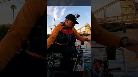 Losing My Toadfish Convict Rod Overboard #short #shorts #shortvideo #toadfish #toadfishoutfitters