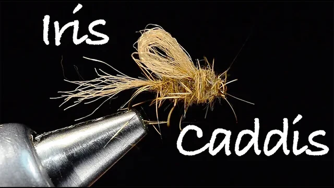 Iris Caddis Fly Tying Instructions Tied by Charlie Craven