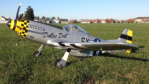 Scale Flight - E-Flite P-51 Mustang Dallas Doll / Force RC P-51 Mustang WWII Warbird RC Plane