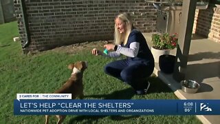 Let's help 'Clear the Shelters'