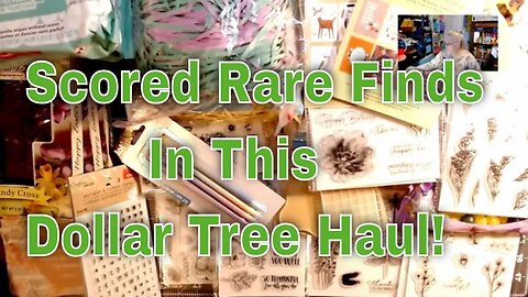 Scored Rare Finds in This Dollar Tree Haul!