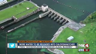 Governor trying to stem economic fallout from algae