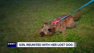 Girl reunited with her lost dog