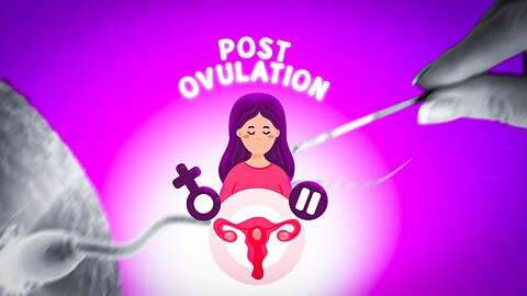 Is It Possible to Get Pregnant After Ovulation? | Exploring the Fertility Window | V Lovemami