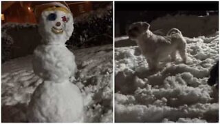 Hunden beskytter huset fra en skikkelig skummel fare, en snømann!