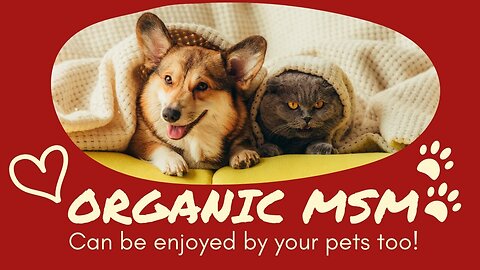 Organic MSM can be enjoyed by your pets too!
