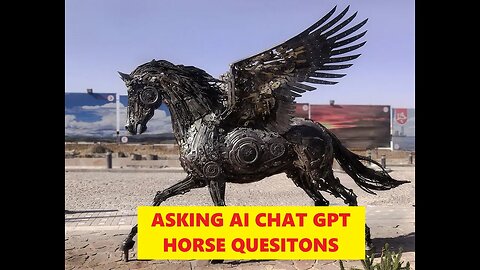 Sun Live - Chat GPT Horse Questions Evaluated - Great Questions & Answers