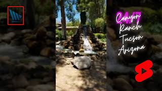 Canyon Ranch Tucson Arizona #shorts