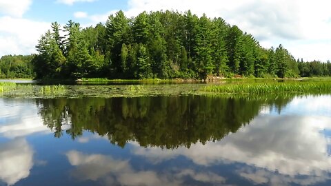 Adirondack Mountains - Peaceful Summer Day on a Calming River