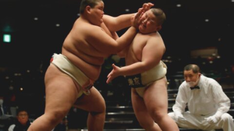 The Importance of Technique in Sumo Wrestling 🤯🔥