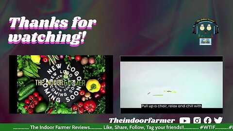 The Indoor Farmer Reviews #17! Sunbeam Unboxing, StrawNanna Review, Journey So Far Review