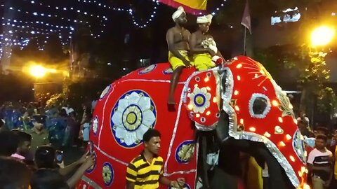Hindu Kali Devi Amman Chariot festival with Elephants
