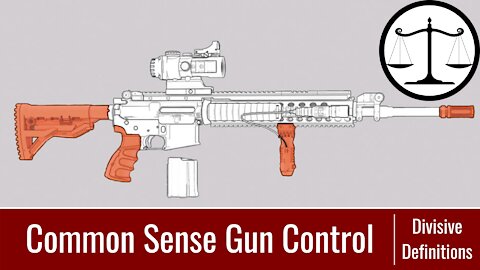Divisive Definitions: Political Vocabulary Defined | Ep 1: Common Sense Gun Control