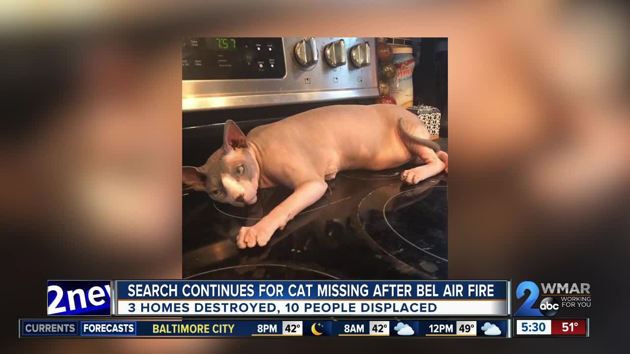 Search continues for cat missing after Bel Air house fire