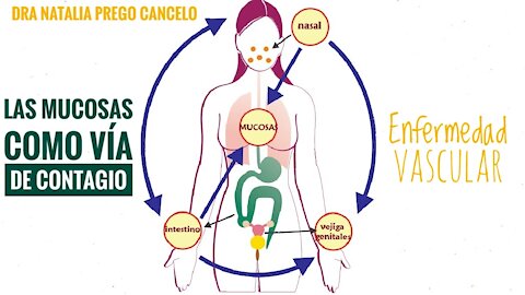 SI LAS MASCARILLAS NO PROTEGEN, ¿CUÁLES SON LAS VÍAS DE INFECCIÓN?