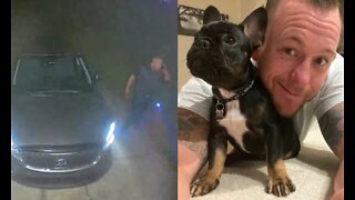 Ring Cam Catches Cooper the Puppy Rescued From a House Fire