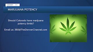 360: Different perspectives on marijuana potency