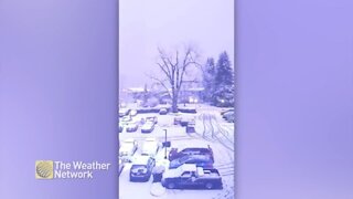 Snowstorm produces bright flash of lightning in Courtenay, BC