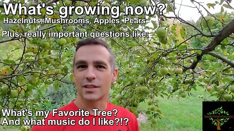 What is my favorite tree? Music? What's growing?